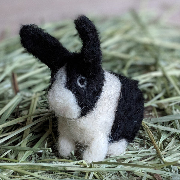 RABBIT NEEDLE FELTING KIT - DOLLY